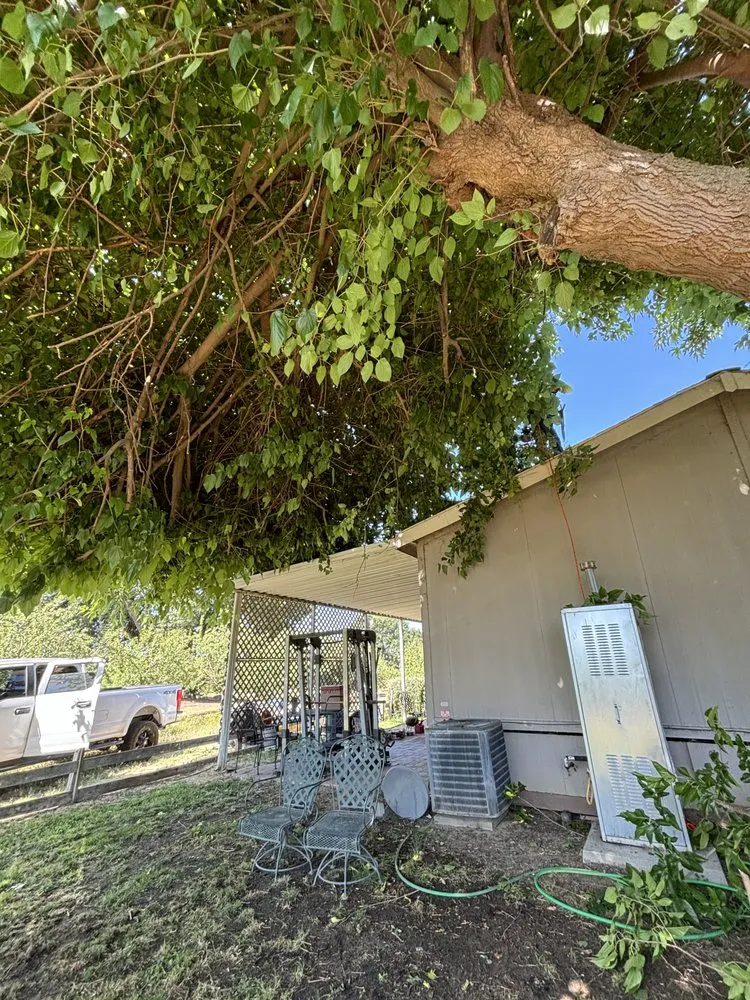 Affordable outdoor landscaping in Fresno, CA - KDV Tree Service and Landscaping