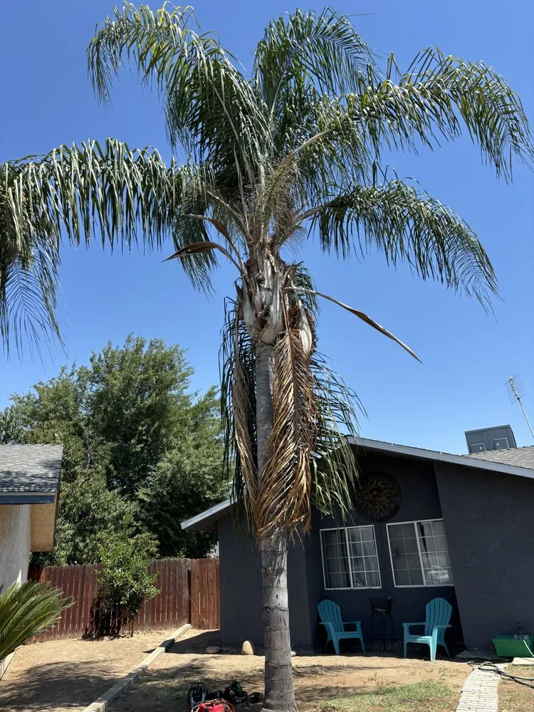 Reliable landscaping services near you across Fresno, CA - KDV Tree Service and Landscaping