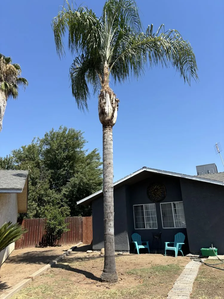 Custom outdoor landscaping experts serving Fresno, CA - KDV Tree Service and Landscaping