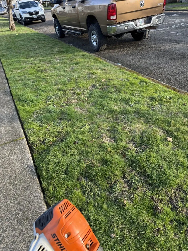Reliable lawn mowing service with custom design in North plains, OR by K&E Landscaping