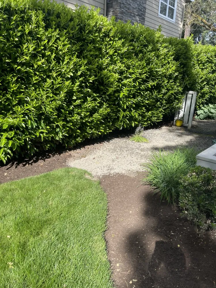Affordable lawn care service near you in North plains, OR by K&E Landscaping