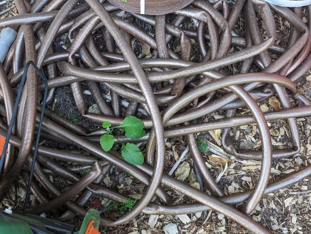 Expert yard maintenance in North plains, OR - K&E Landscaping