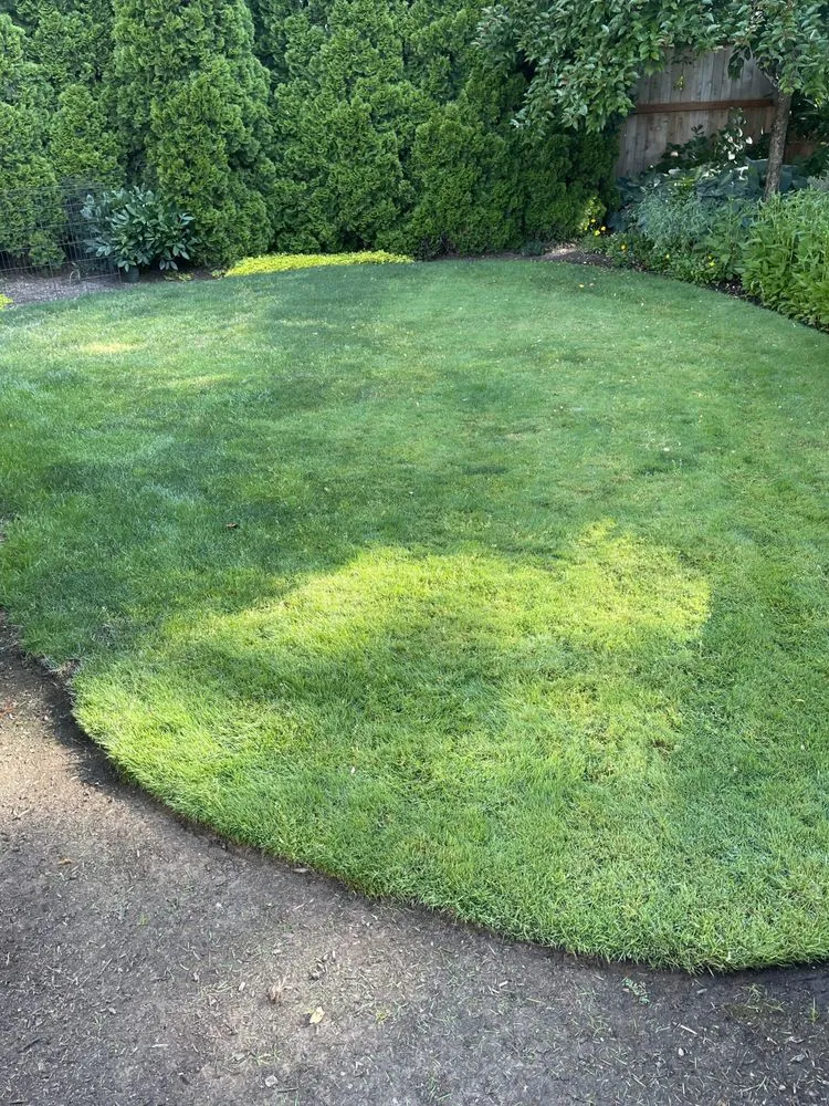 Reliable lawn care service experts serving North plains, OR - K&E Landscaping