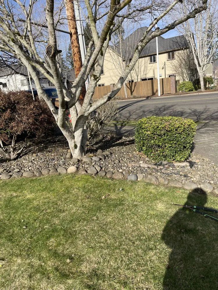 Custom yard maintenance near you in North plains, OR by K&E Landscaping