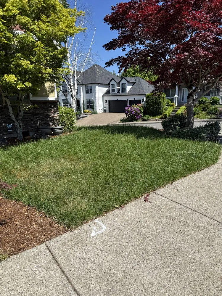 Trusted landscaping services in North plains, OR - K&E Landscaping