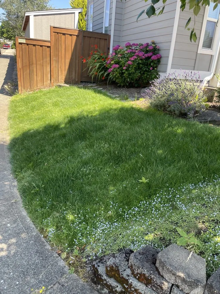 Trusted lawn care service for homes across North plains, OR - K&E Landscaping