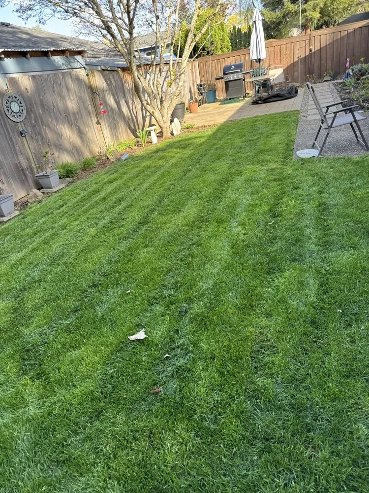 Local landscape installation experts serving North plains, OR - K&E Landscaping