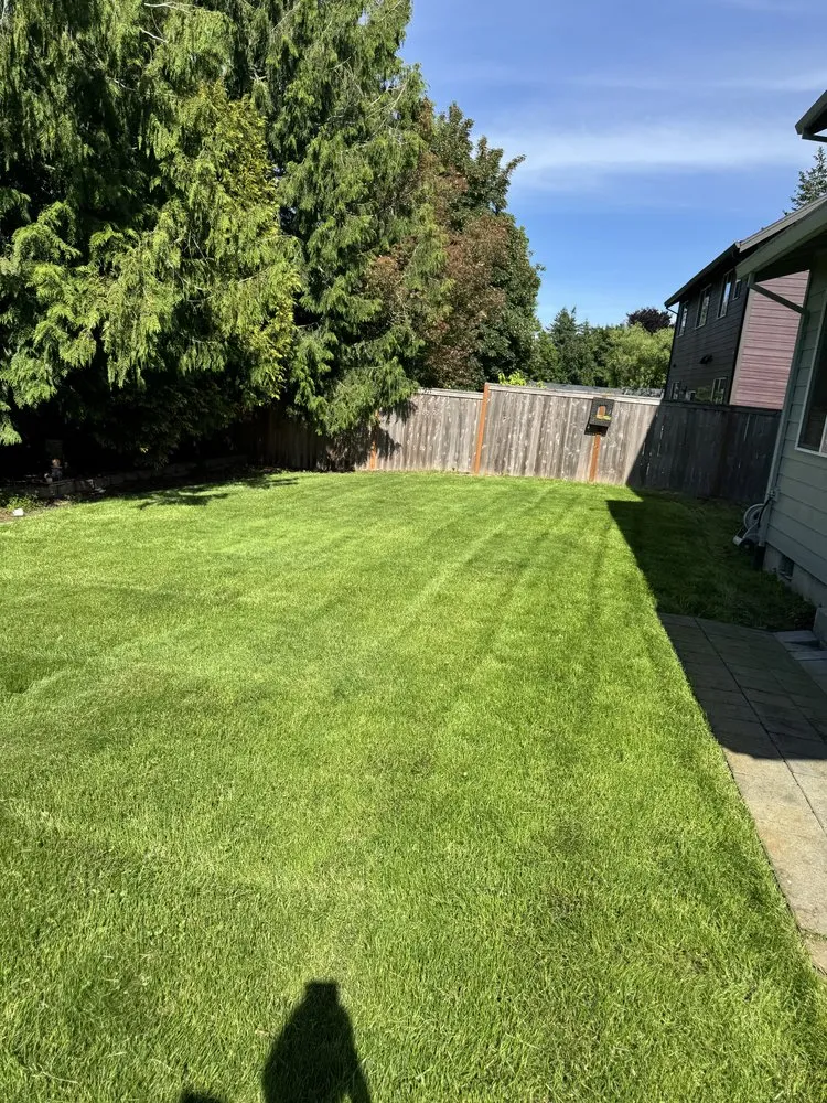 Professional landscaping services for residential properties across North plains, OR - K&E Landscaping