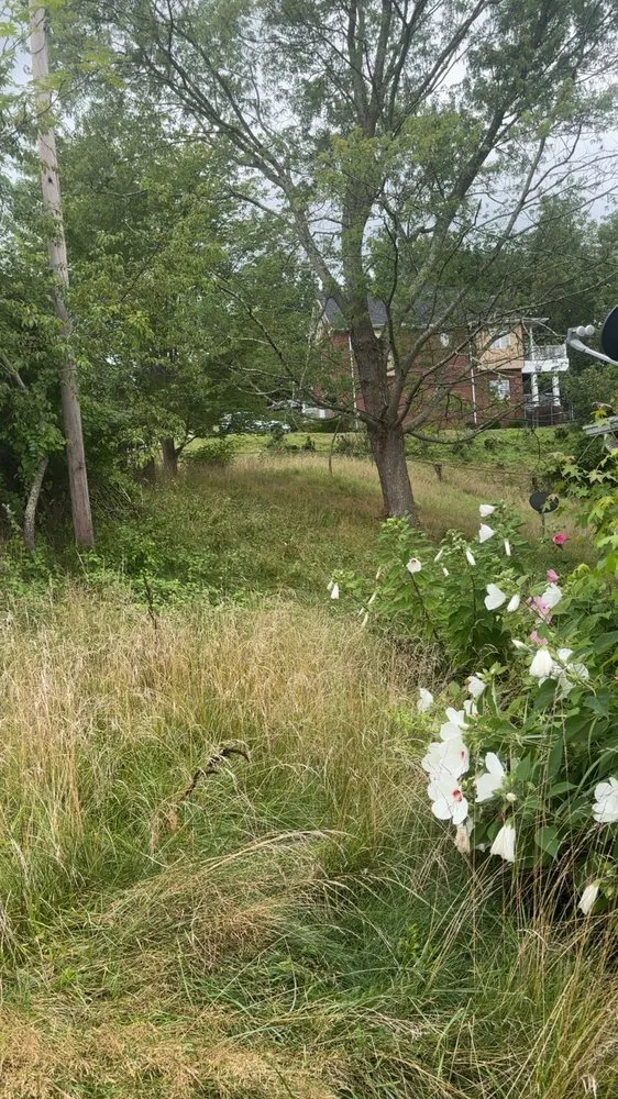 Top-rated landscape installation in Tornado, WV - K&E Landscaping