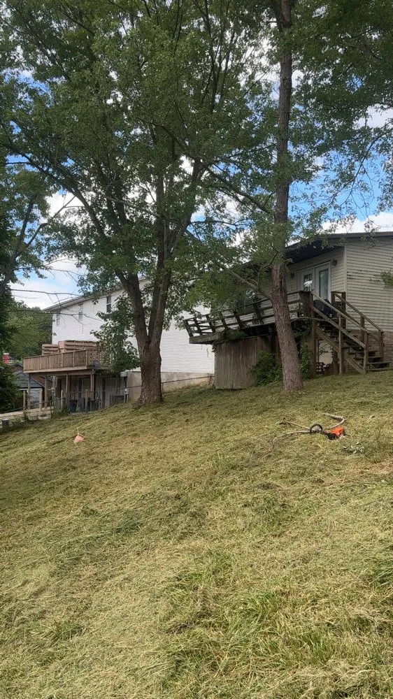 Expert lawn care service experts serving Tornado, WV - K&E Landscaping