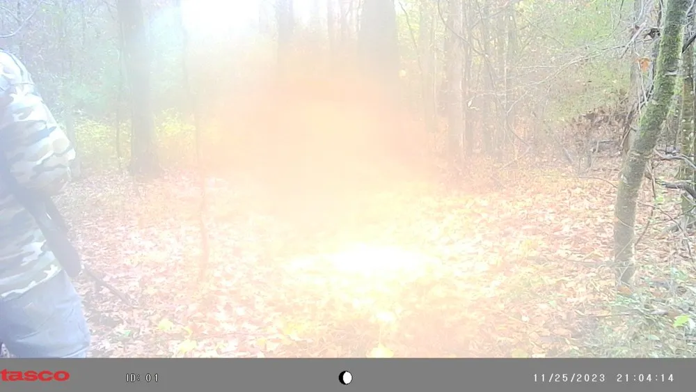 Trusted outdoor landscaping experts serving Morton, MS - K&E Lawn Care & Tree Service