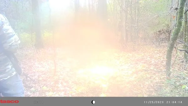 K&E Lawn Care & Tree Service