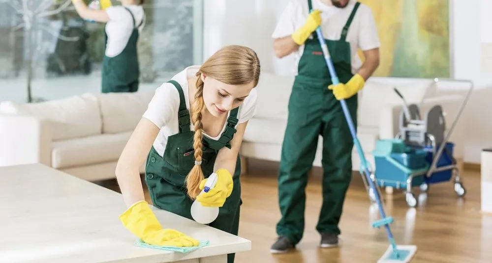 Trusted yard maintenance in Verona, NY - K&E Mowing/Cleaning/Gardening