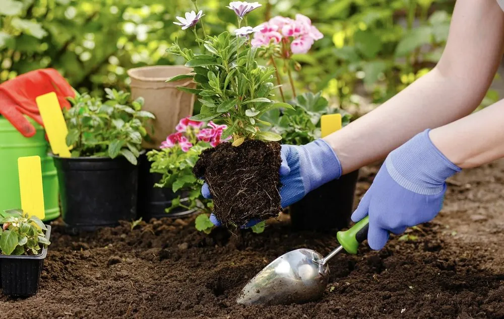 Trusted lawn mowing service in Verona, NY by K&E Mowing/Cleaning/Gardening