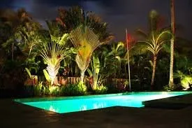 Expert landscaping services for beautiful yards in Lahaina, HI by Keali’i Landscaping