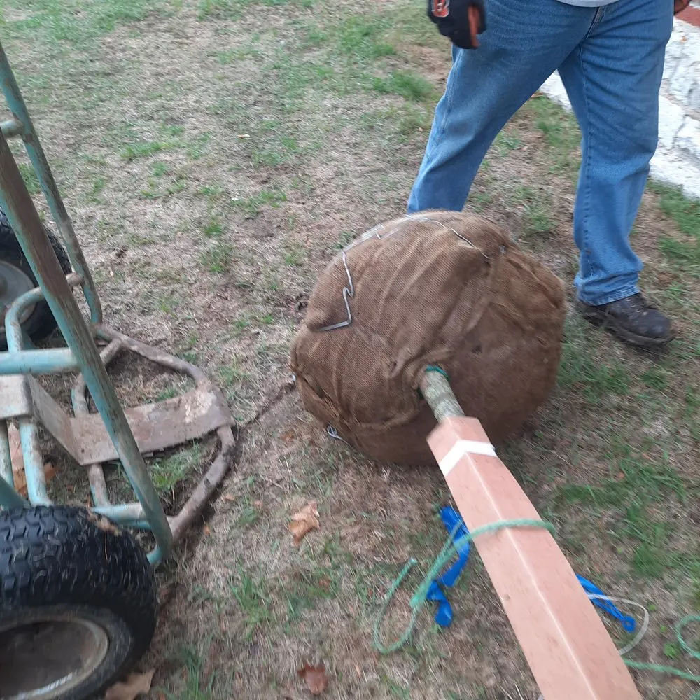 Reliable landscape design in Lebanon, OH - Kearney's Landscaping Co