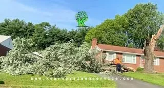 Affordable yard maintenance for beautiful yards across Richmond, VA - Kearney's Lawn Care & Hauling