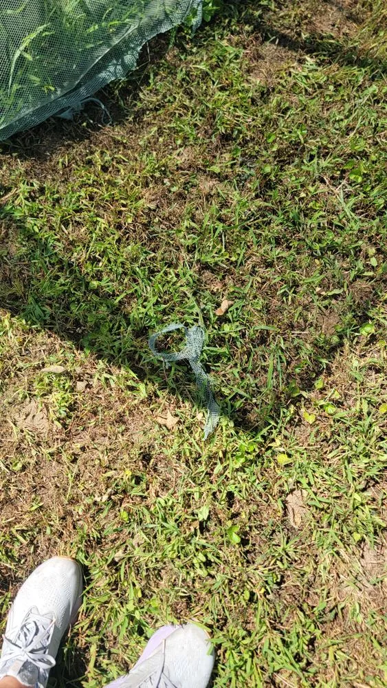 Reliable yard cleanup service in Worcester, MA - Keating Enterprises