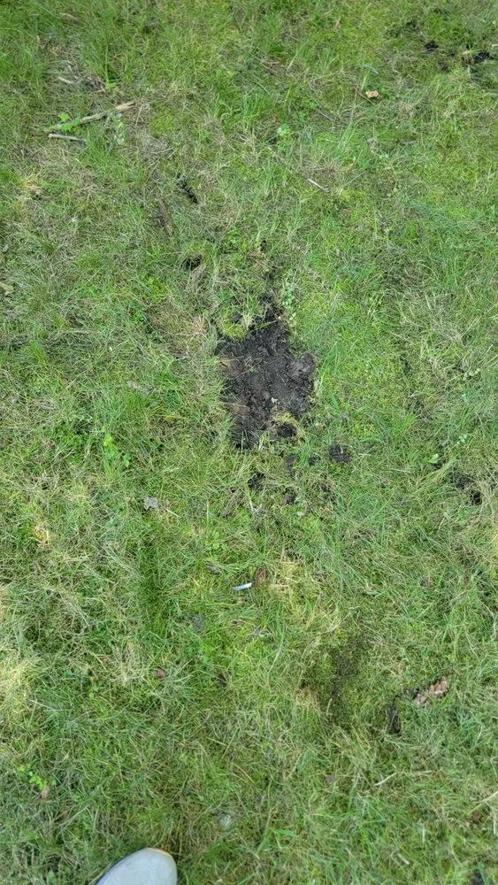 Professional landscape design near you across Worcester, MA - Keating Enterprises