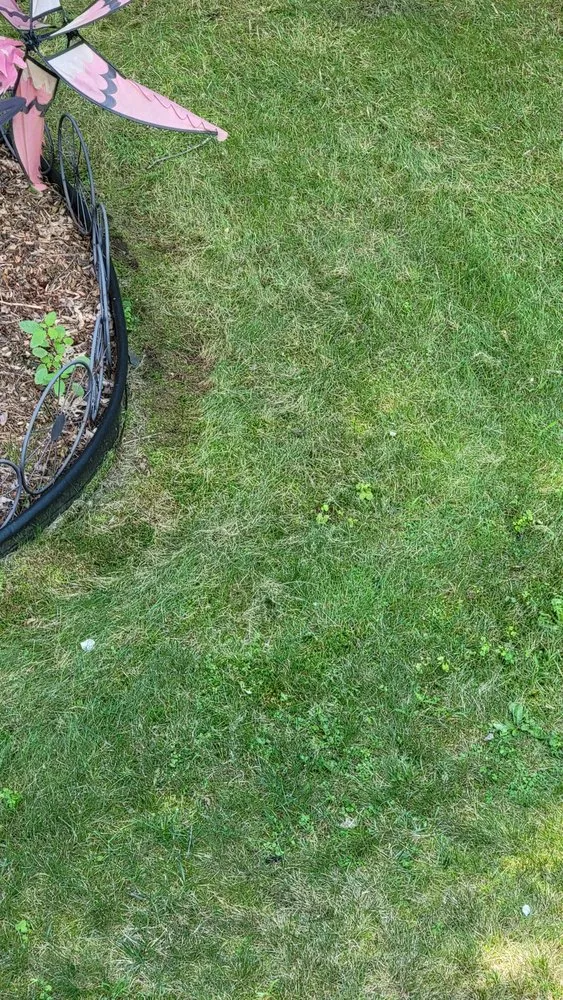 Expert landscape installation experts serving Worcester, MA - Keating Enterprises