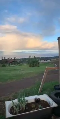 Keauali'i Lawn Trimmings