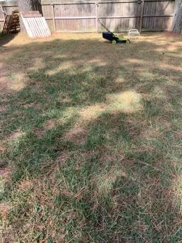 Top-rated landscape design in Moyock, NC by Keba’s Lawn Care