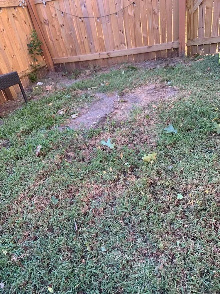 Reliable yard cleanup service in Moyock, NC - Keba’s Lawn Care