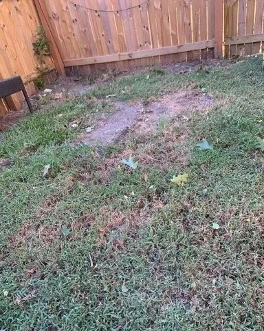 Top-rated garden landscaping near you in Moyock, NC by Keba’s Lawn Care