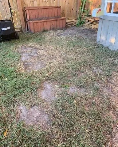 Custom yard cleanup service in Moyock, NC - Keba’s Lawn Care