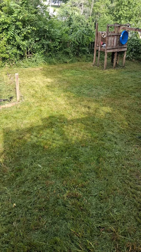 Top-rated yard cleanup service for beautiful yards in Montello, WI by Keb's Awsome Service