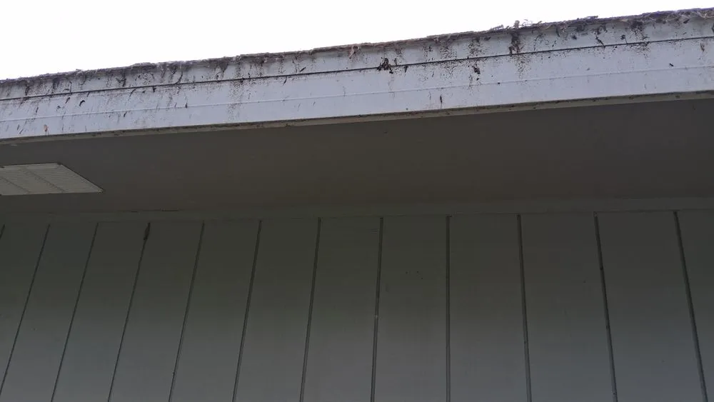 Professional landscape design near you in Montello, WI by Keb's Awsome Service