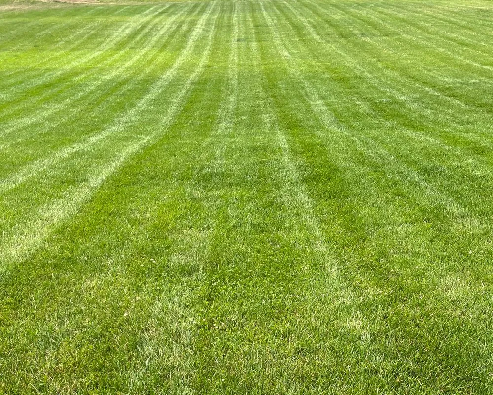 Affordable landscape design in Horicon, WI - KEB's Services