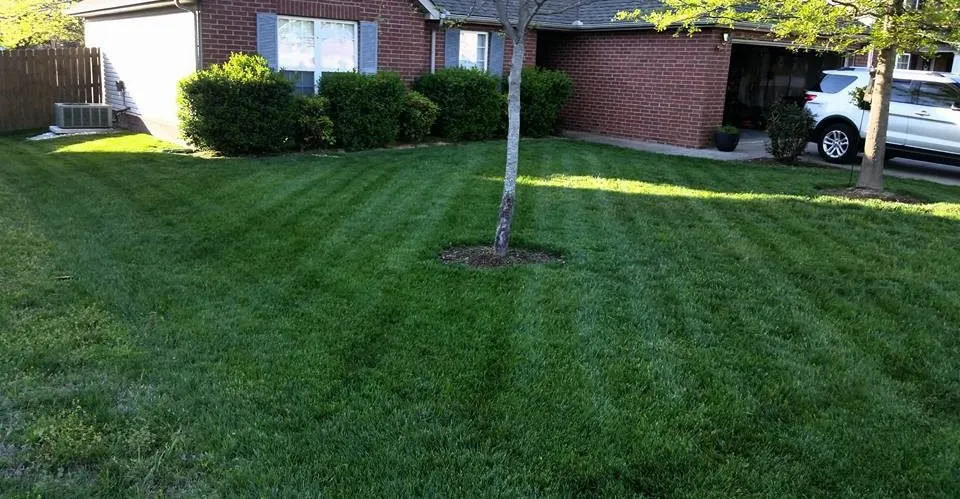 Custom yard cleanup service for beautiful yards across Pekin, IL - Kedzior Lawn Care