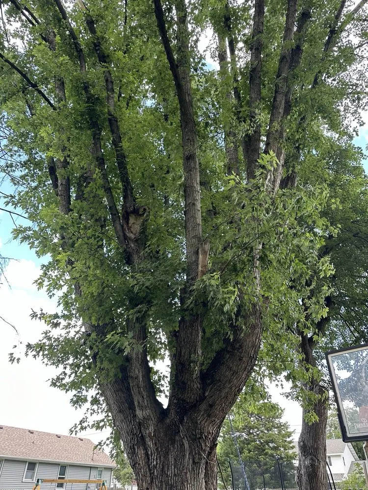 Custom residential landscaping in Pekin, IL by Kedzior Lawn Care