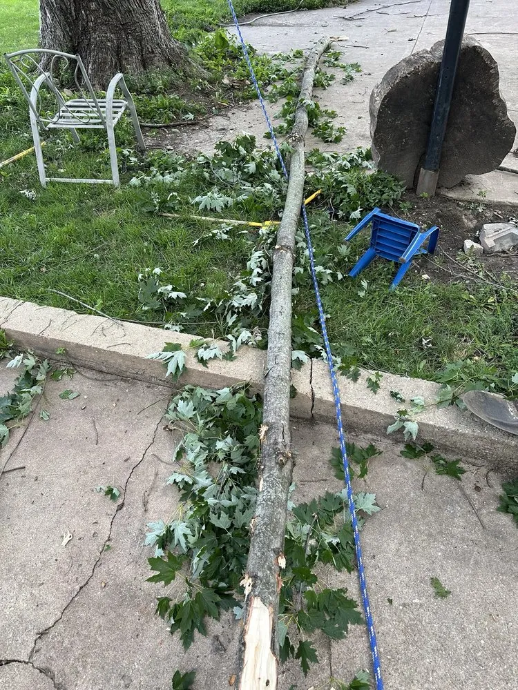 Local yard cleanup service experts serving Pekin, IL - Kedzior Lawn Care