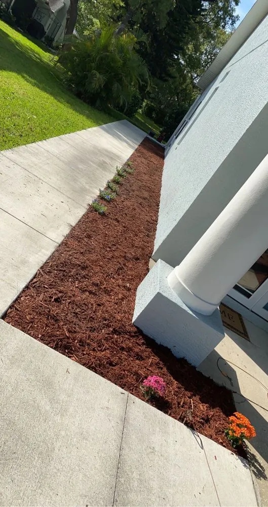 Affordable landscape design for homes across Tampa Bay, FL - Keegan's Property Maintenance
