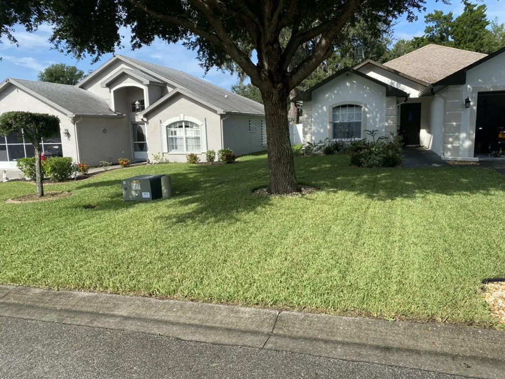 Local landscape installation in Tampa Bay, FL by Keegan's Property Maintenance