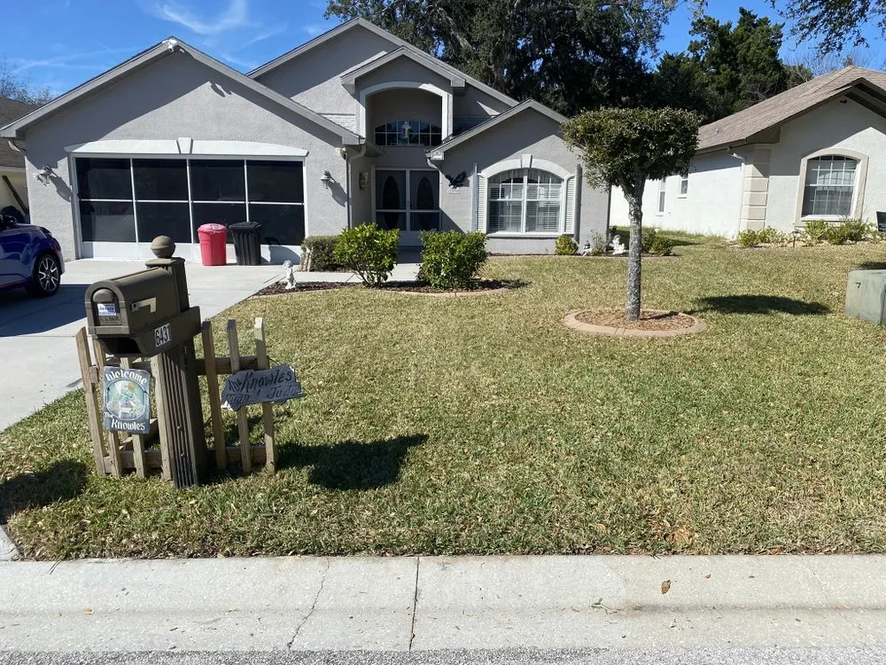 Professional outdoor landscaping in Tampa Bay, FL by Keegan's Property Maintenance