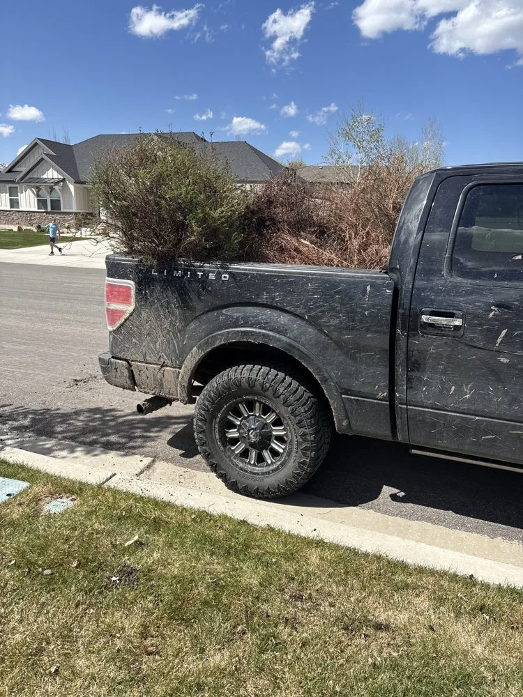 Expert yard maintenance in Daniel, UT - Keele Landscape