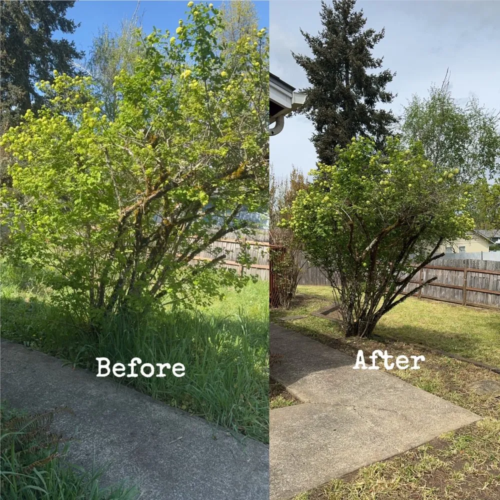 Professional garden landscaping in Winston, OR by Keeler’s Memorial Landscaping