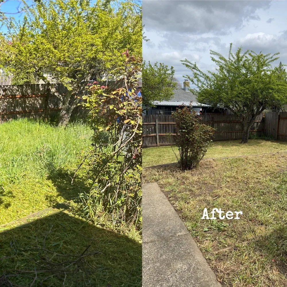 Affordable yard cleanup service in Winston, OR by Keeler’s Memorial Landscaping