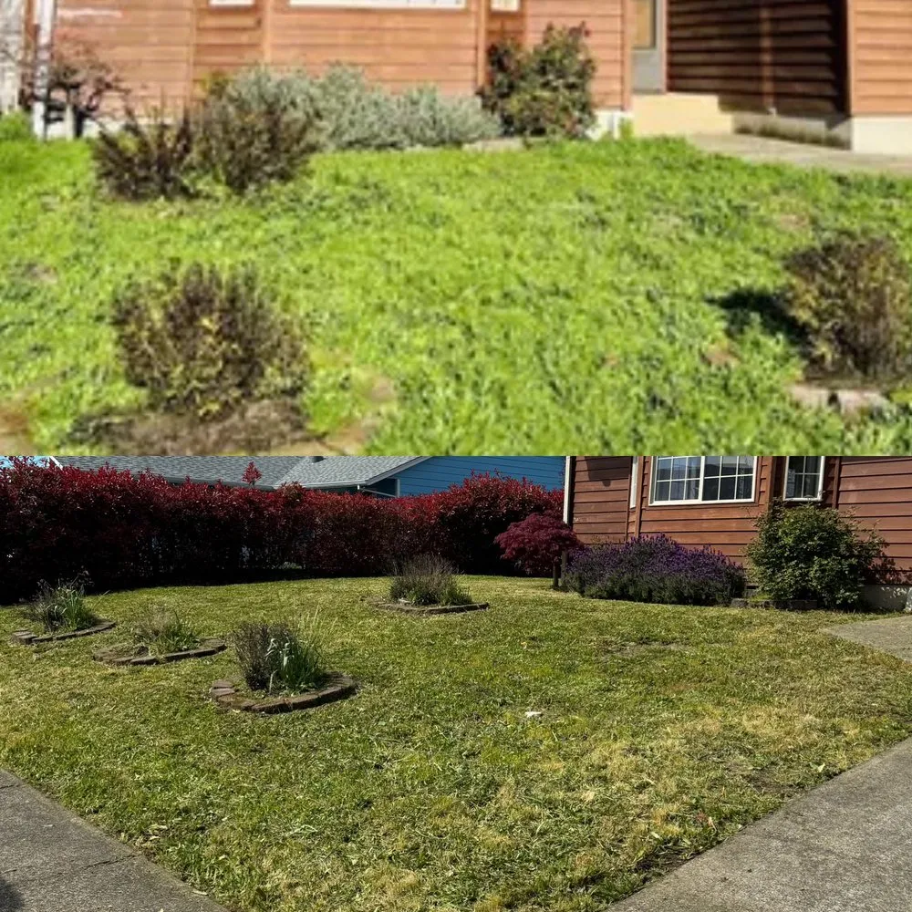 Trusted residential landscaping for beautiful yards in Winston, OR by Keeler’s Memorial Landscaping