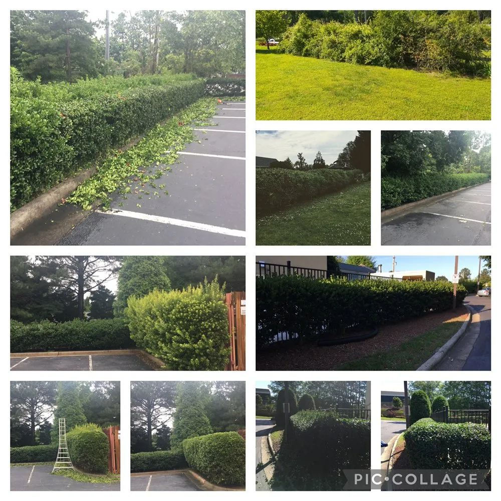 Professional lawn mowing service experts serving Angier, NC - KEEN Attention to Detail