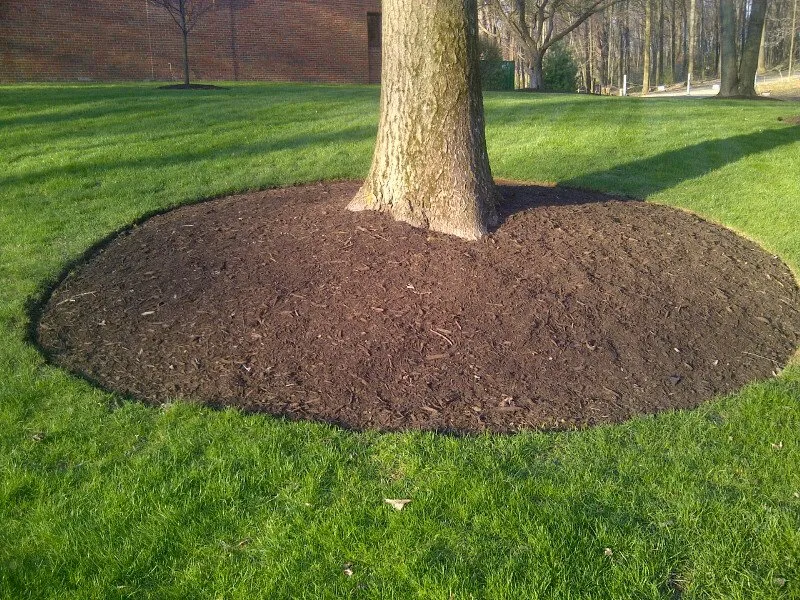 Local yard cleanup service near you in Providence, RI by Keen Grounds Maintenance