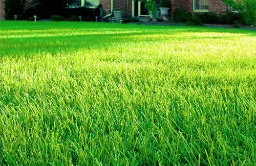 Reliable landscaping services near you in Providence, RI by Keen Grounds Maintenance