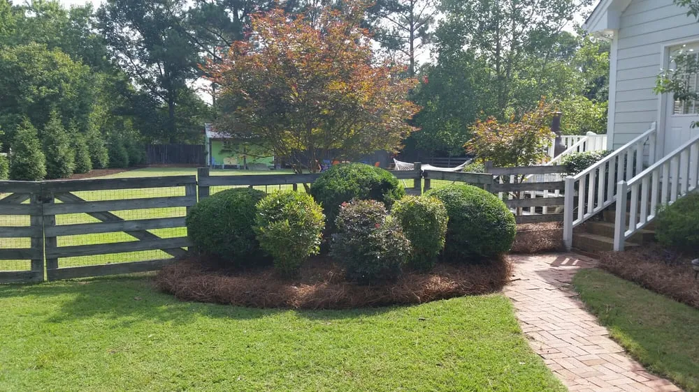 Professional lawn mowing service for year-round maintenance across Garner, NC - Keen Landscaping