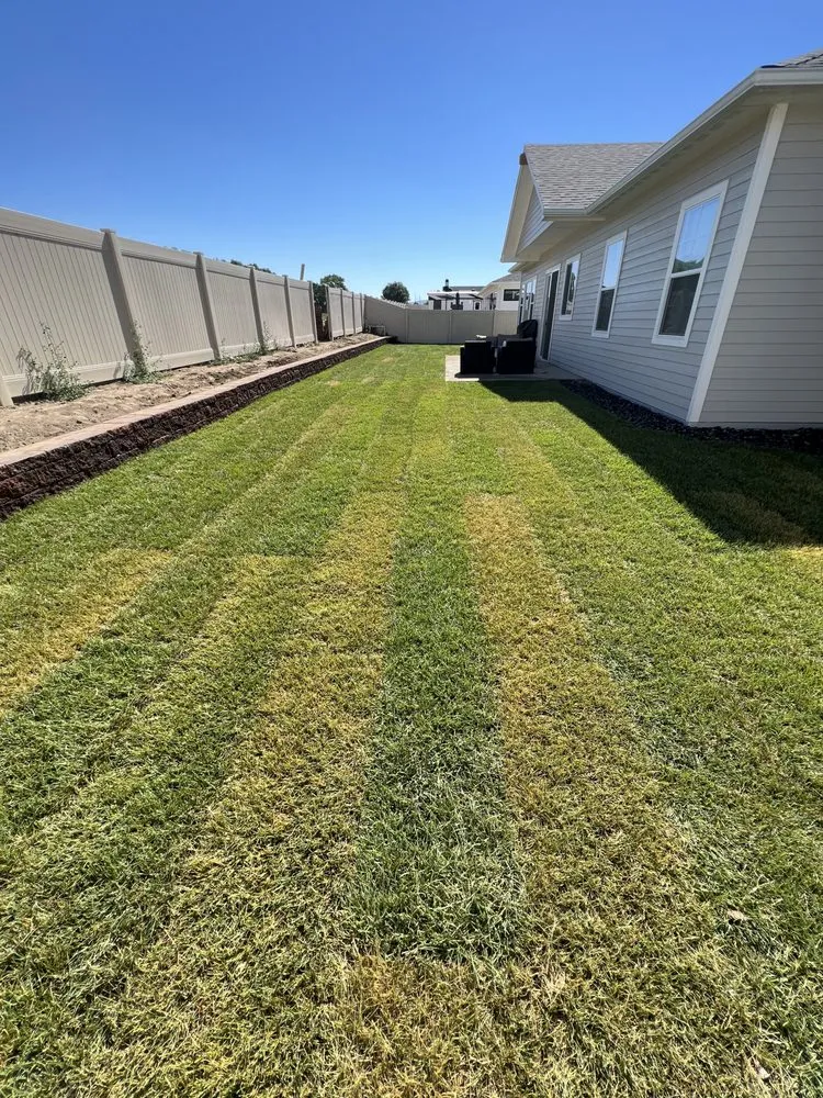 Reliable yard cleanup service for beautiful yards across Grand Junction, CO - Keen Services