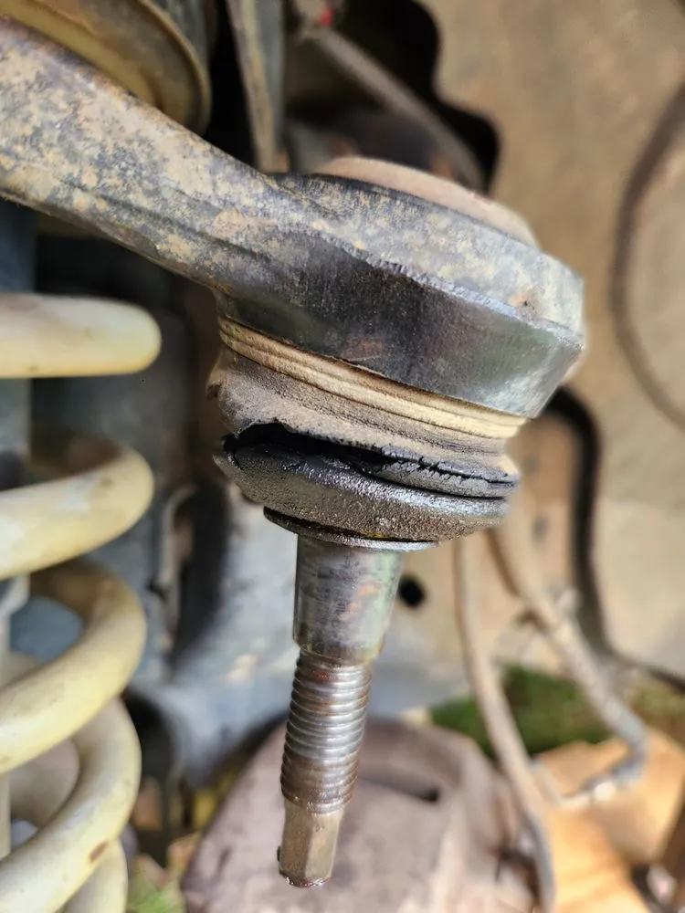 Professional garden landscaping in Valdosta, GA - Keen Things And Services