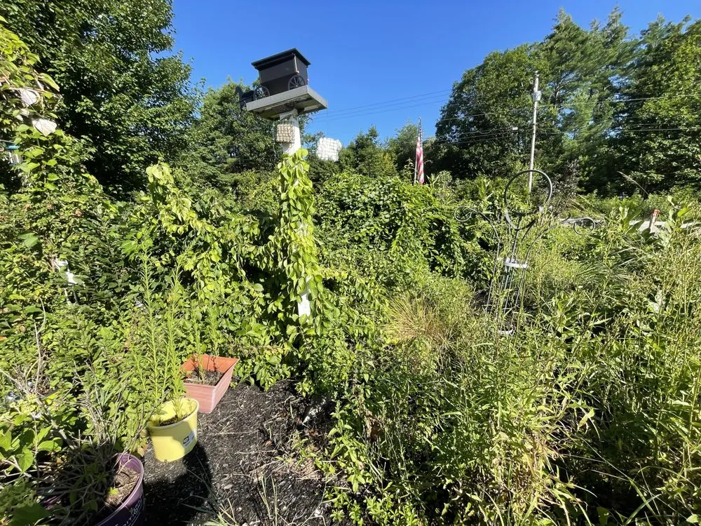 Trusted yard maintenance in Pittsfield, NH by Keene Eye Landscaping And Fine Gardening