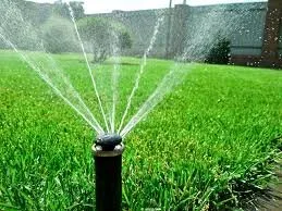 Local yard cleanup service with custom design across Chester, SC - Keen's Irrigation And Landscaping